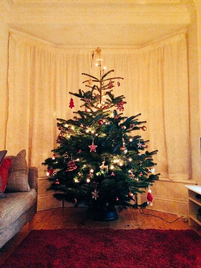 images of rooted christmas tree 100 root ball christmas images of rooted christmas tree 100 root ball christmas