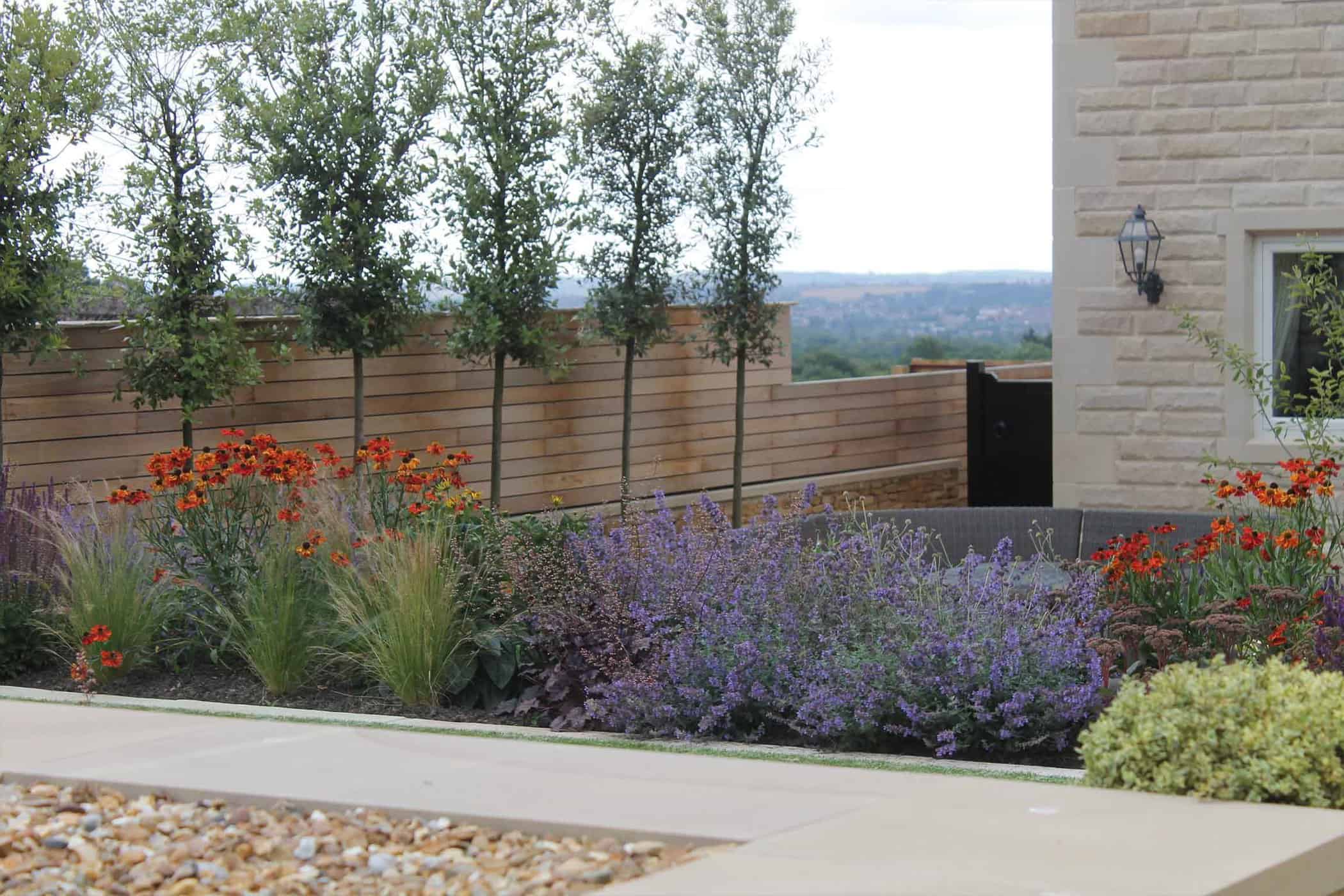 Terrace Delight-Bestall-and-co-yorkshire-modern-planting-dutch-planting Modern terraced garden