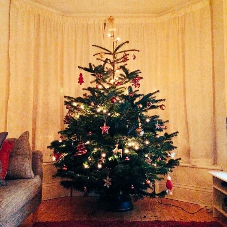 Perfect Christmas Tree