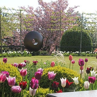 Garden-Designer Sheffield-Spring-Tulips