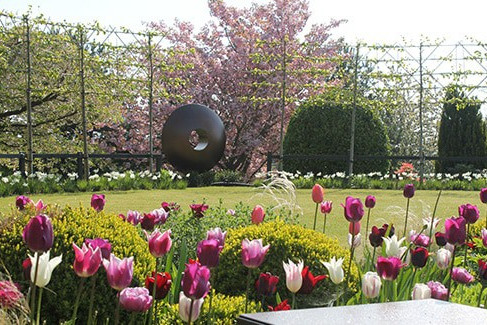 Garden-Designer Sheffield-Spring-Tulips
