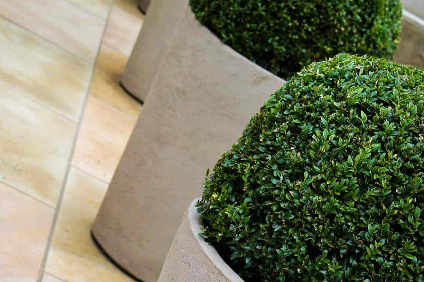 Grove Rotherham Garden Design Gallery 1