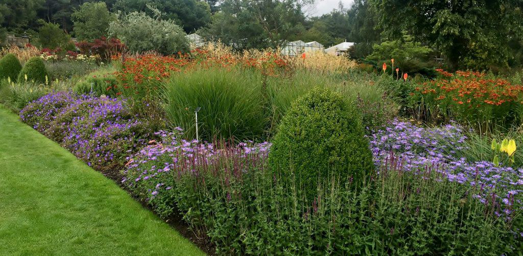 Colour wheel planting