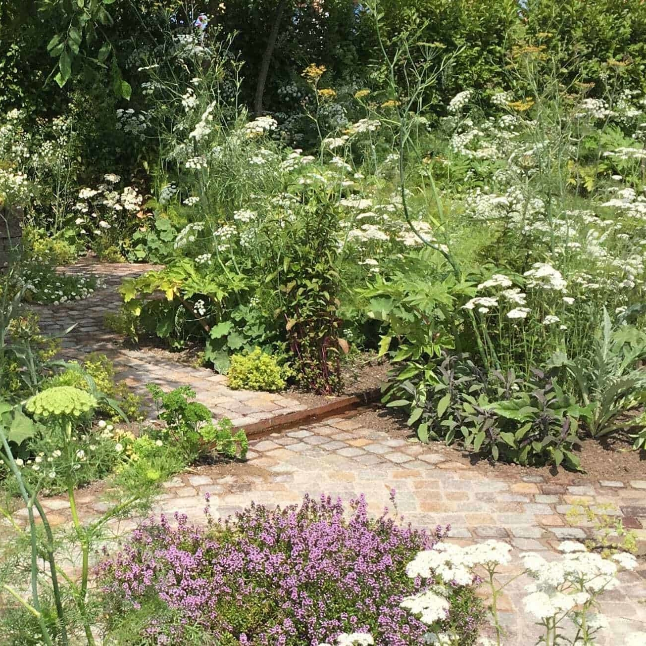 Alexandra Noble's Health and Wellbeing Garden