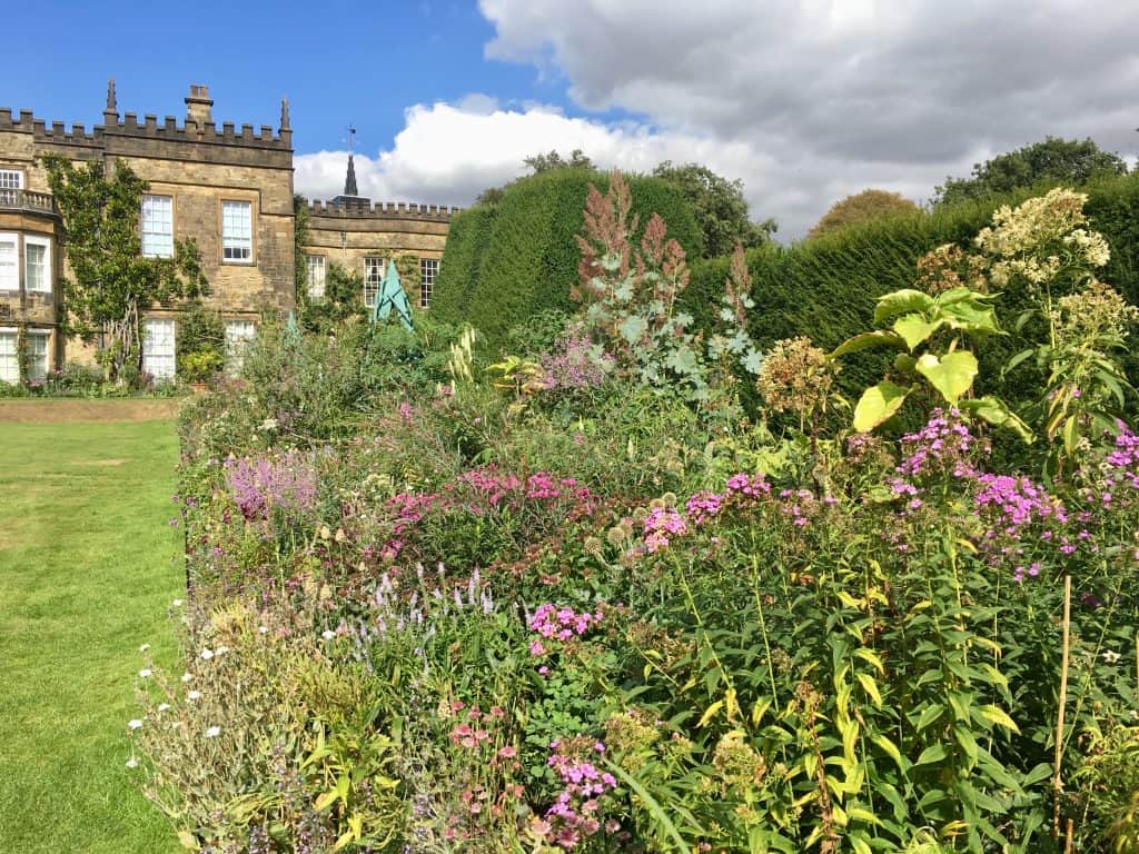 Colour wheel planting