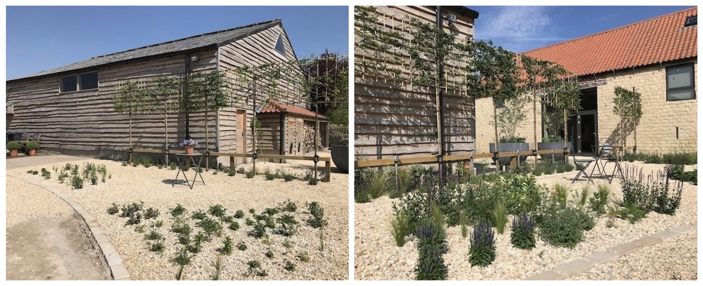 Herbaceous Perennials - Young, just planted - Taken by Lee Bestall, Garden by Bestall & Co