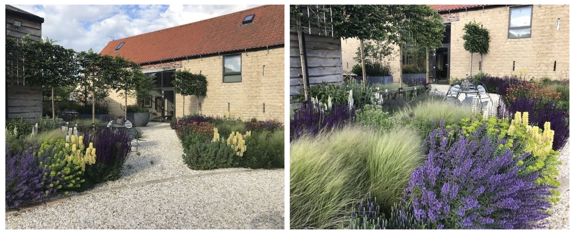 Herbaceous Perennials - 2 years old - Taken by Lee Bestall, Garden by Bestall & Co