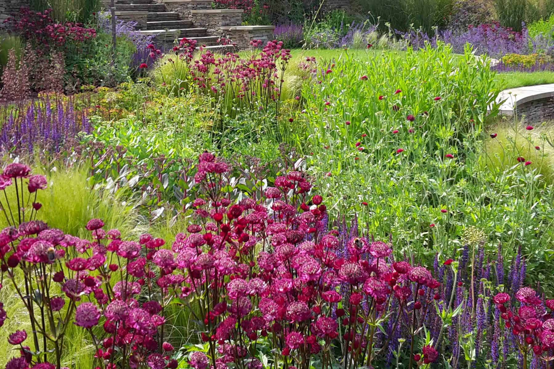 Colourful planting