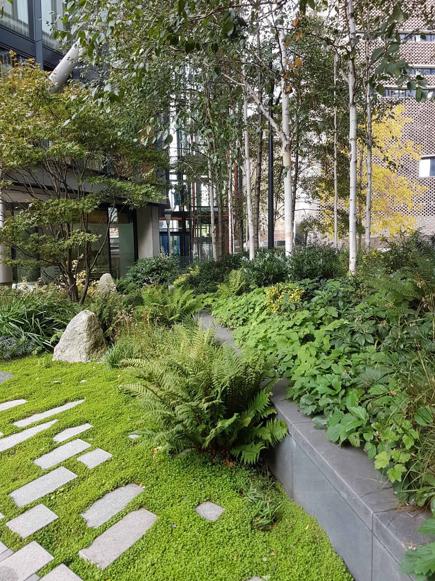 NEO Bankside garden ground cover plants shade