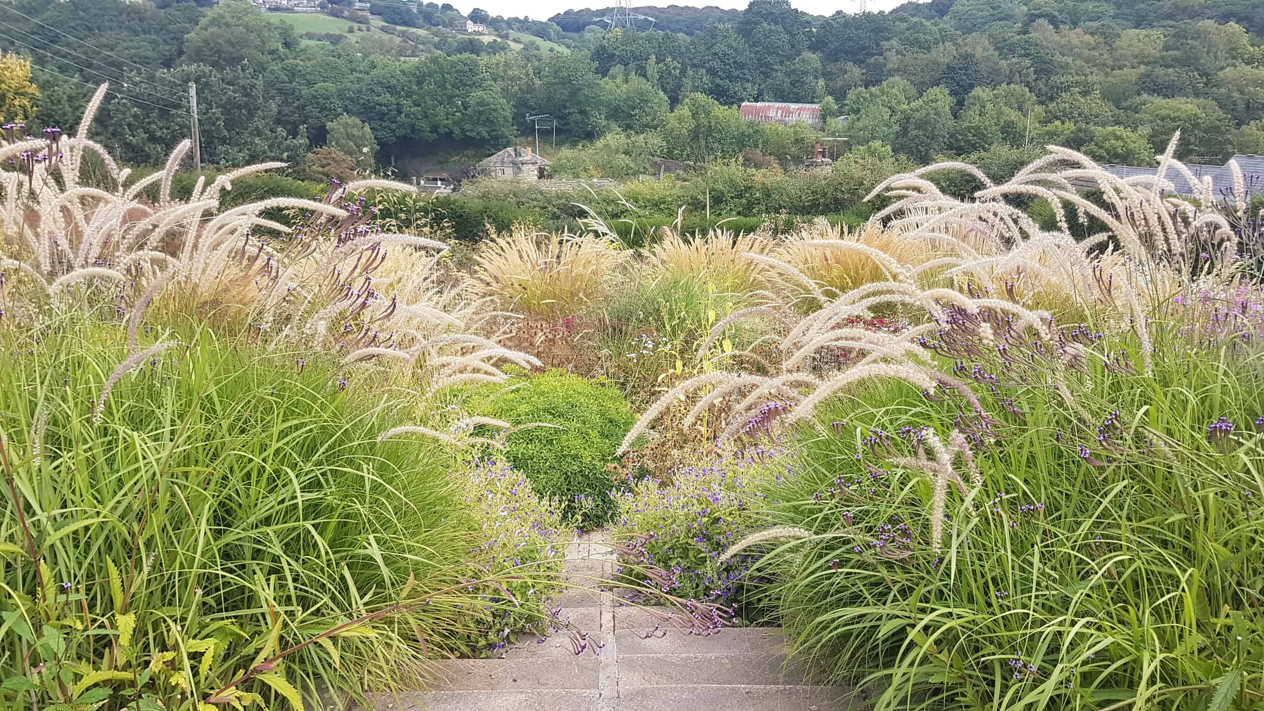 Dove Cottage Nursery Best nurseries for perennials and grasses