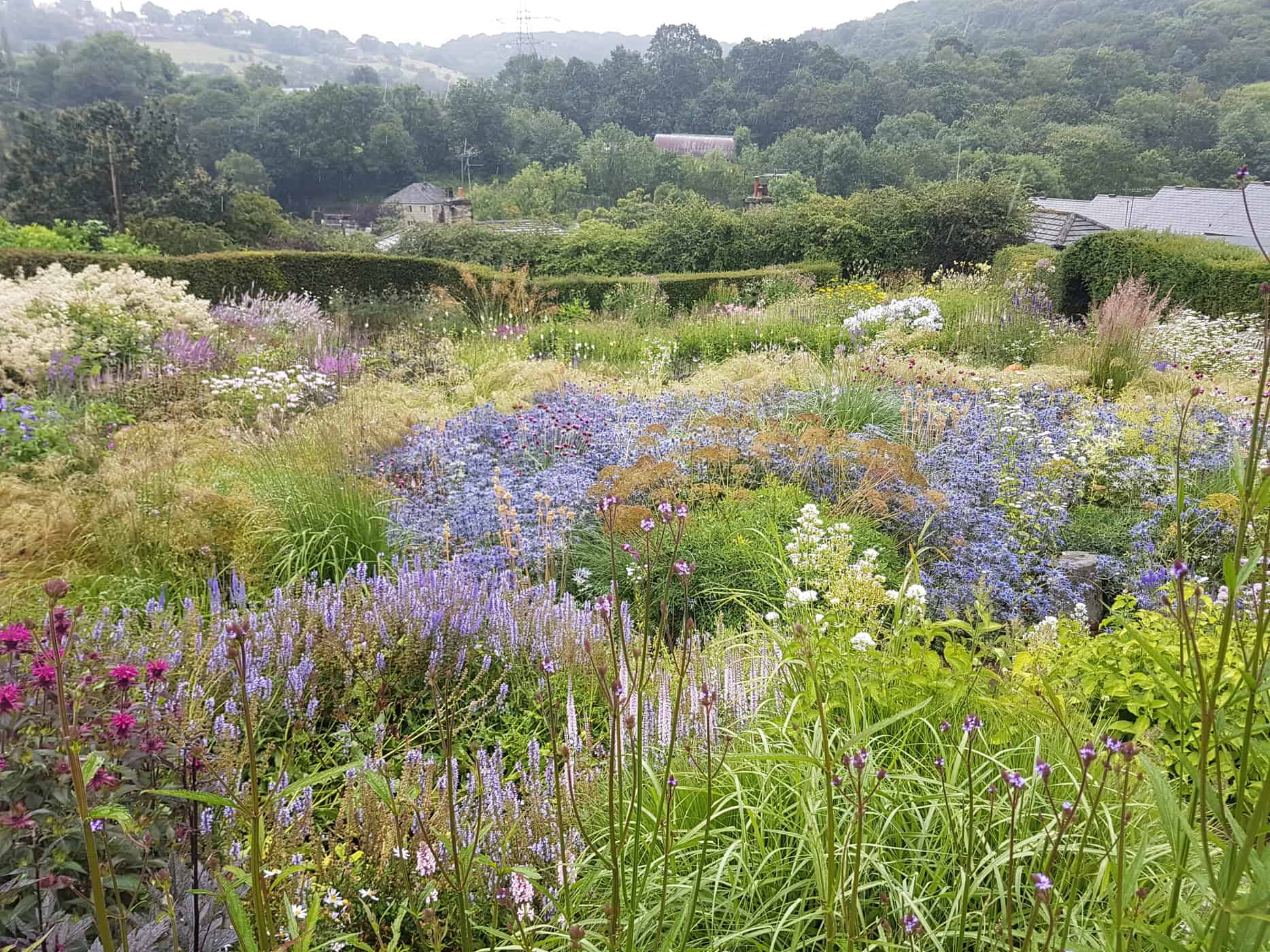 Dove Cottage Garden - best nurseries for perennials and grasses