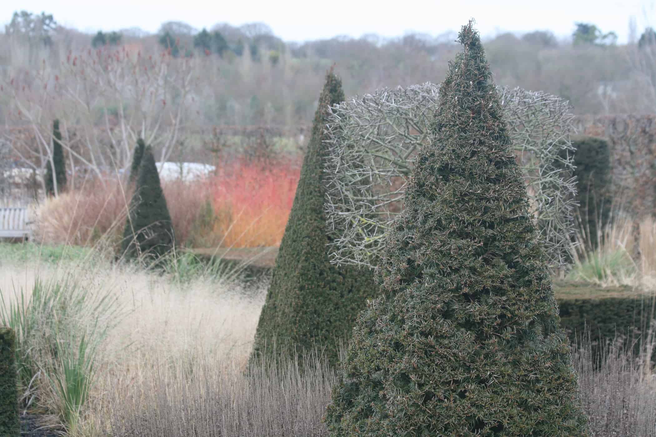 Hyde Hall Modern Country Garden