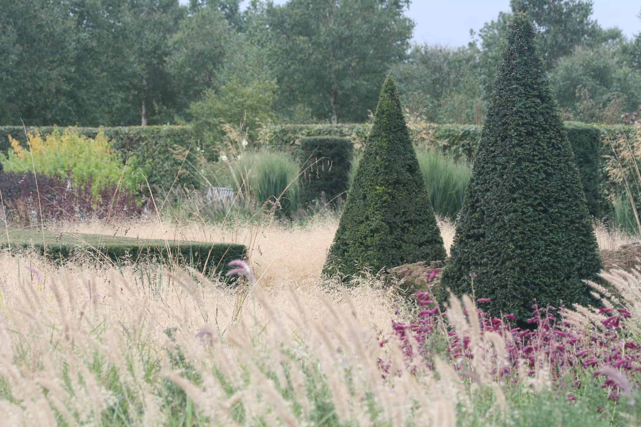 Hyde Hall Modern Country Garden