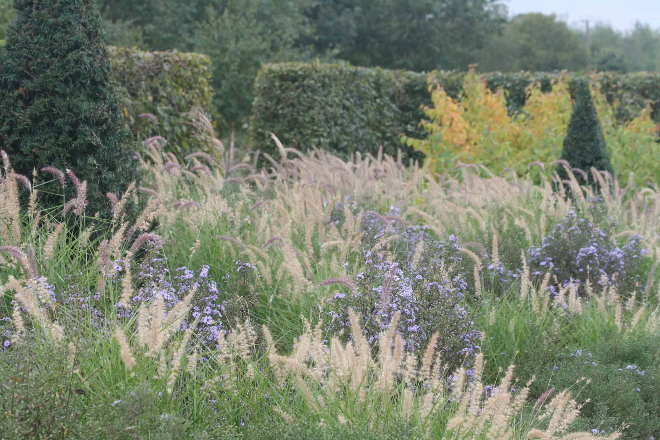 Hyde Hall Modern Country Garden