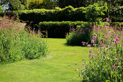 The Dales Sheffield Garden Design Project Image