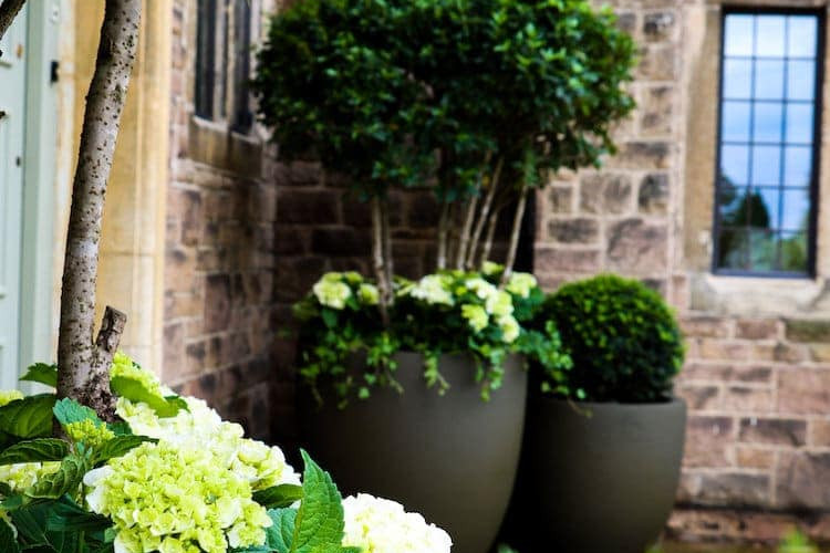 The Dales Sheffield Garden Design Project Image