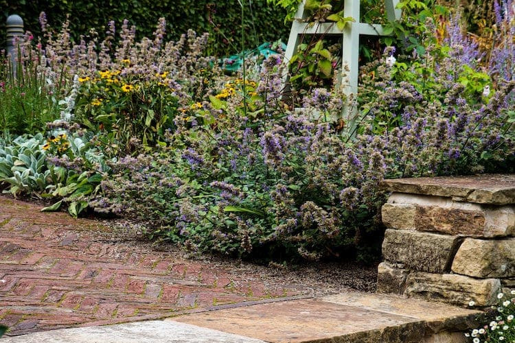 The Dales Sheffield Garden Design Project Image