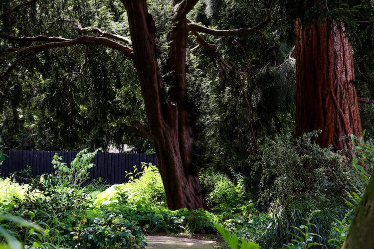 Modern Country English Garden - The Priory by Bestall & Co