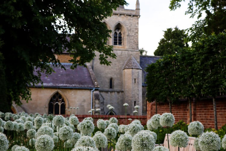 The-Priory-Garden-Design-Project-12