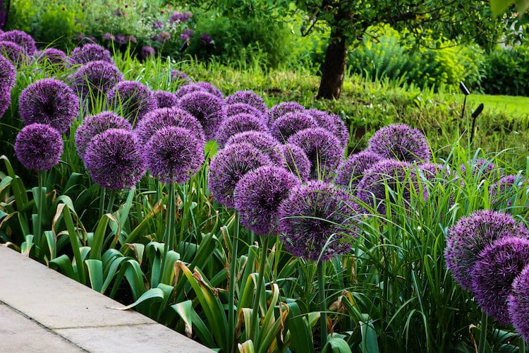 Modern Country English Garden - The Priory by Bestall & Co