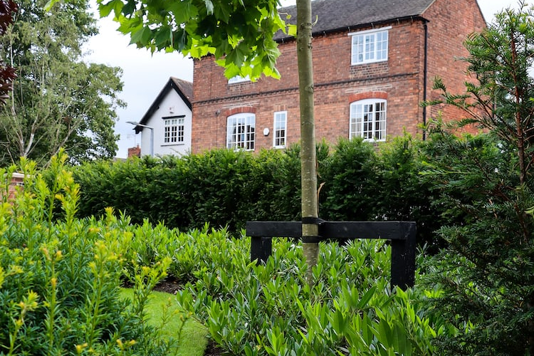 George Street Cheshire Garden Design Project 3