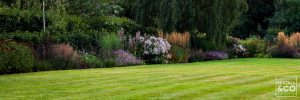 Large rear lawn in one of our country garden projects. Photo by Harvey Dyson, garden by Bestall & Co.