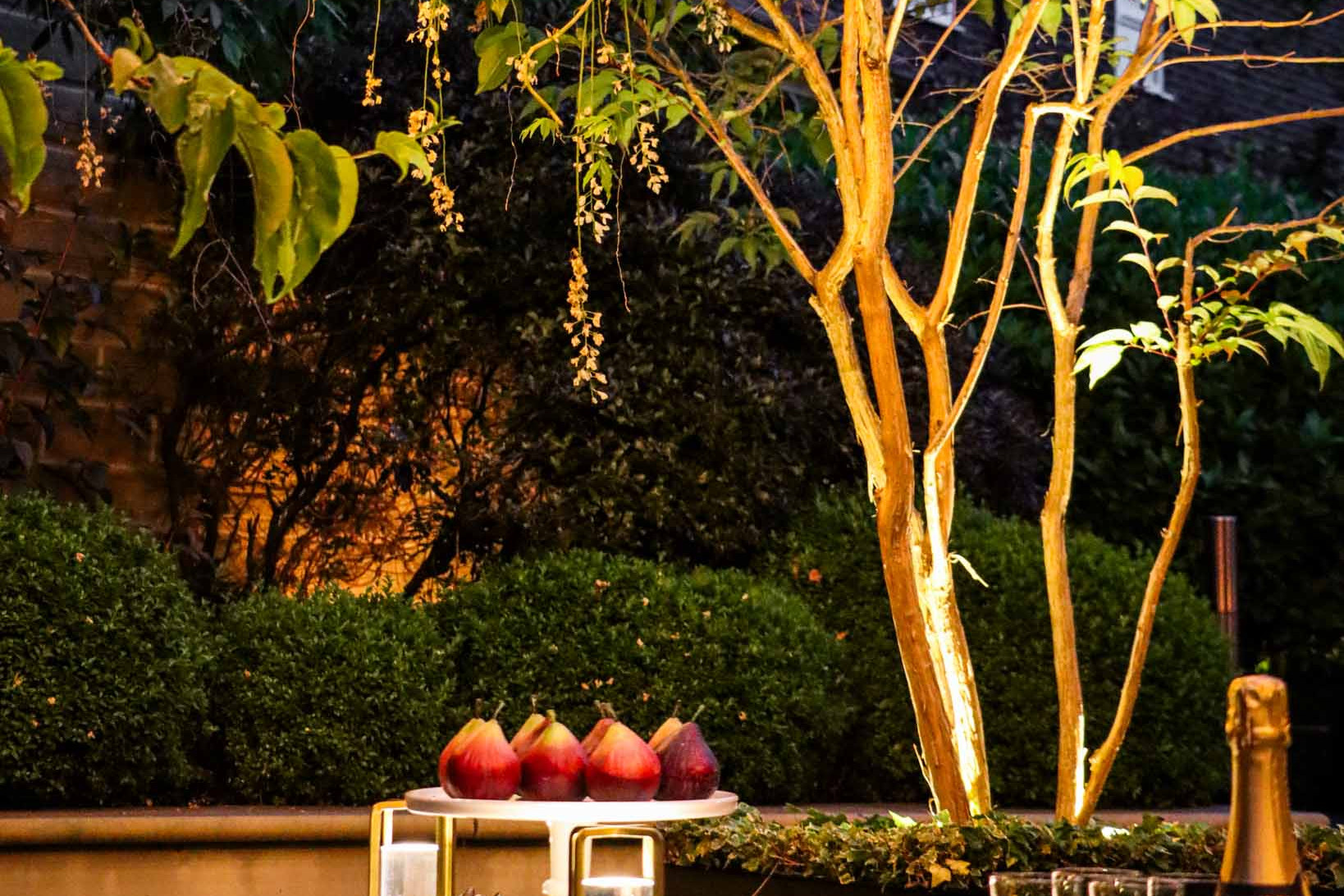 River Cottage Sheffield Gallery 6