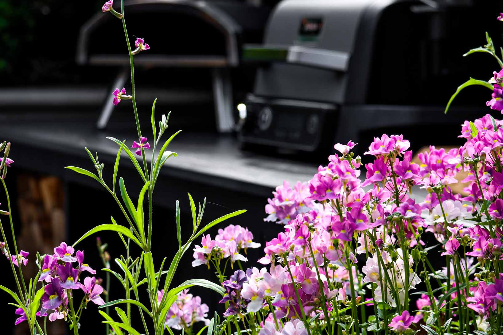 River Cottage Sheffield Gallery 11