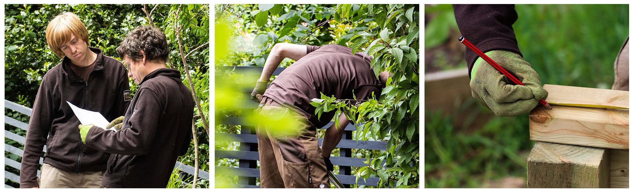 Planting & Implementation Process At Bestall & Co. Photograph by Harvey Dyson.