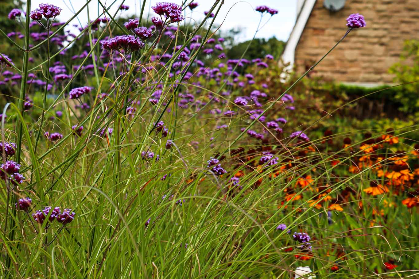 Foliage Balcony Planting With Raised Tree Focal Point