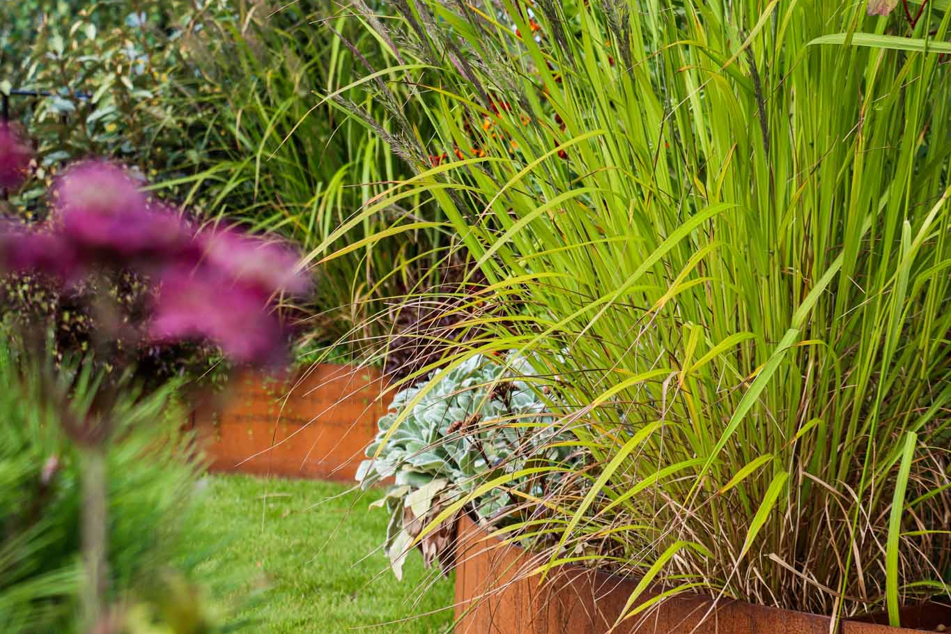 Bespoke Corten Steel Planter