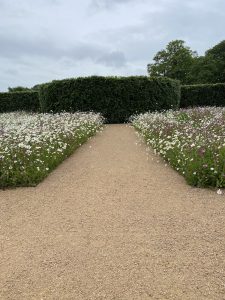 Wild Flower From Seed Or Turf English Country Garden 2025