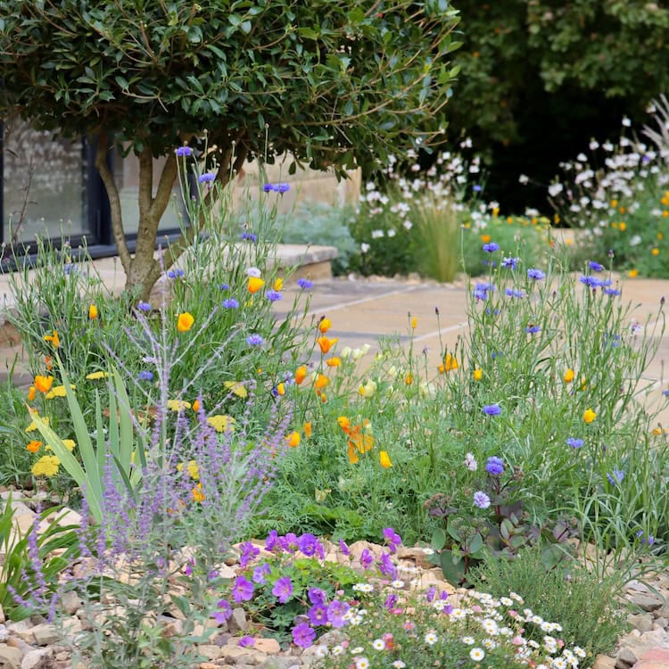 Earthlite Planting Scheme Picture 1