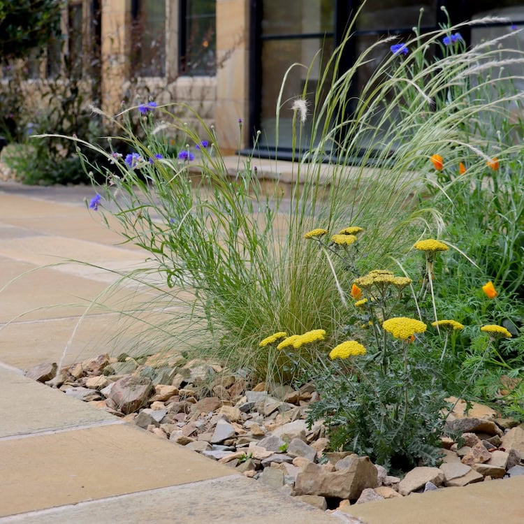 Earthlite Planting Scheme Picture 2