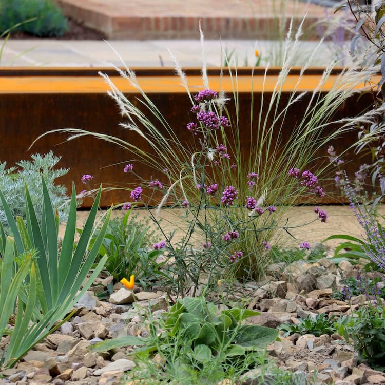 Earthlite Planting Scheme Picture 3