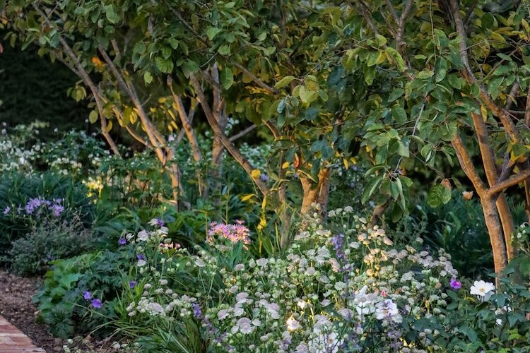 Modern Country Sustainable Garden Design English High End Residential Gardens