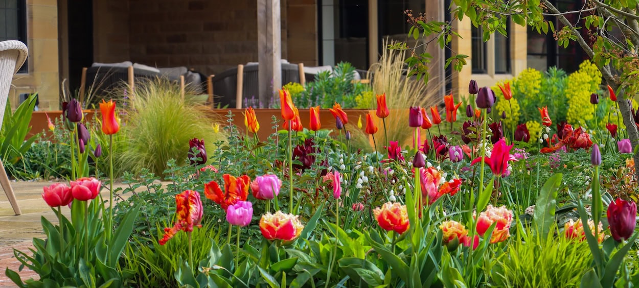 Our Bulb Collection Banner